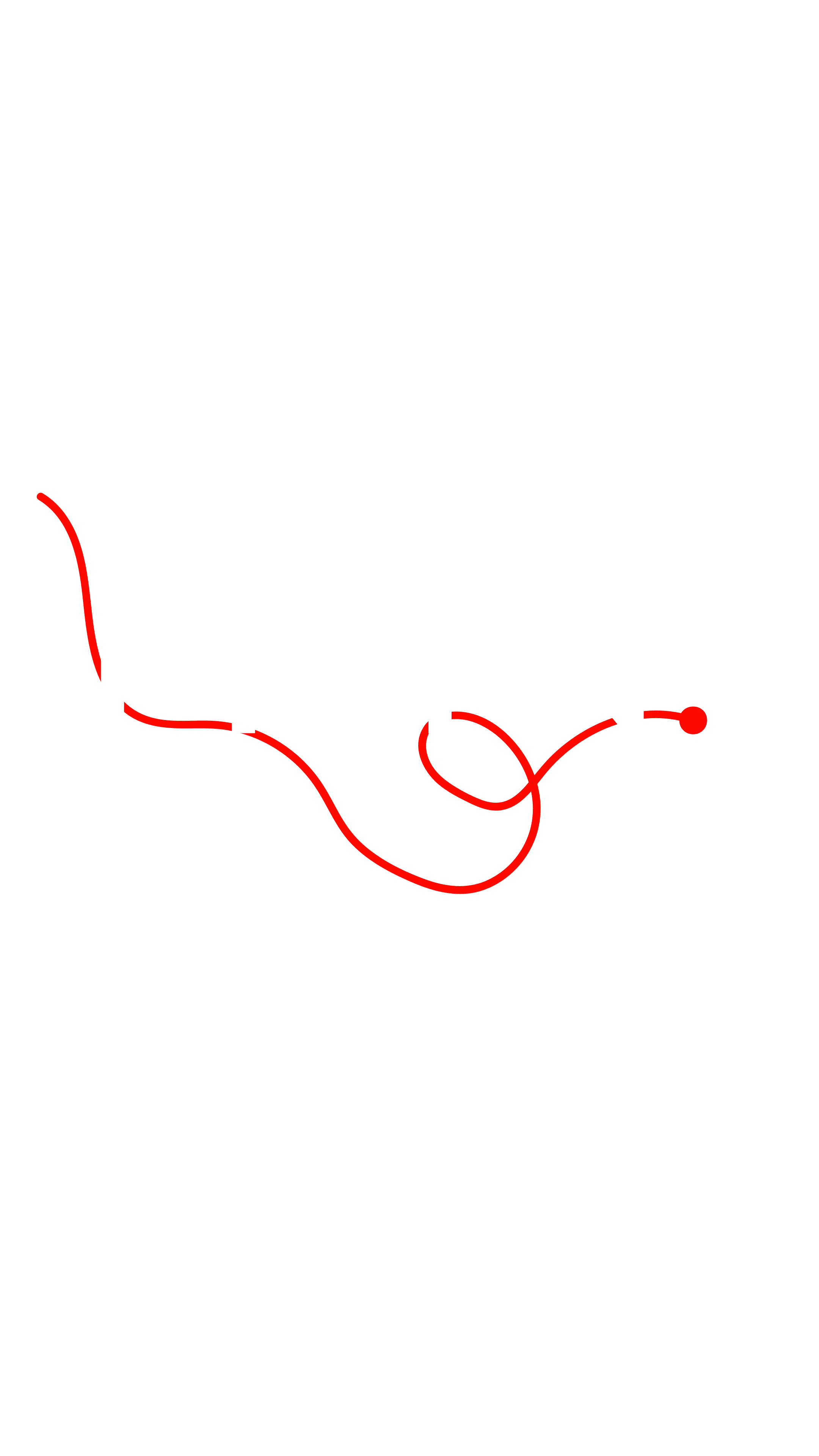 Fotospin